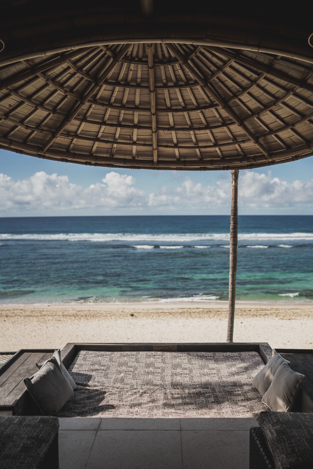 WhatsApp Image 2025-01-07 at 11.26